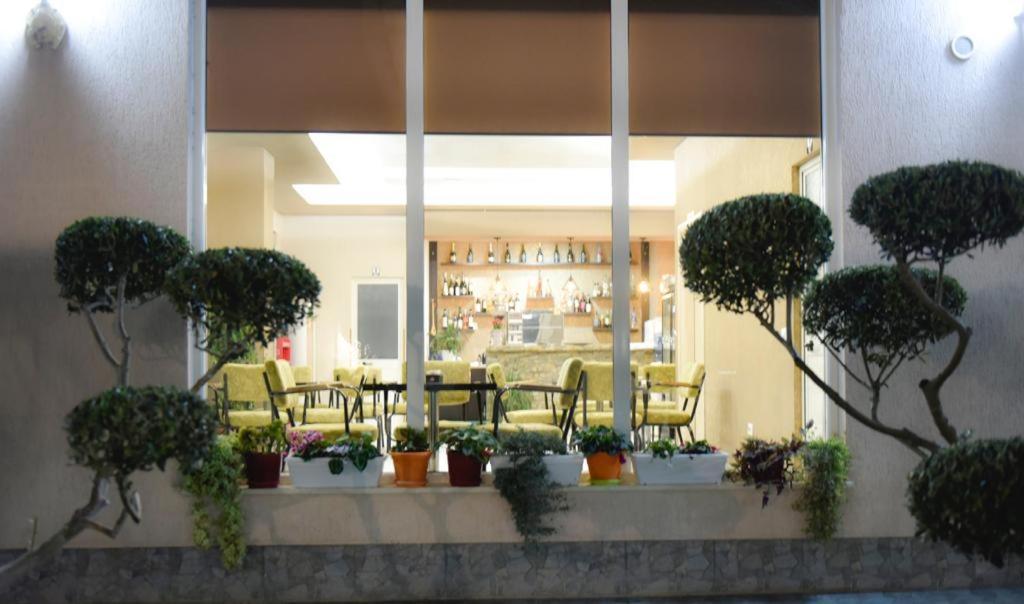 Hotel Vila Dedej ドゥラス エクステリア 写真